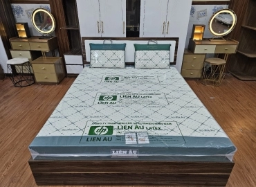 GỐI NẰM LIÊN ÂU LATEX – OVAN 40*60