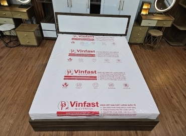 NỆM VIN FAST RED PIN