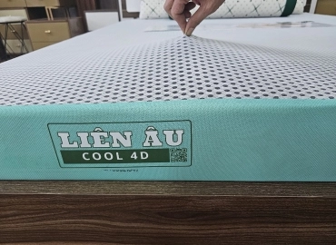 NỆM CAO SU LIÊN ÂU COOL 4D