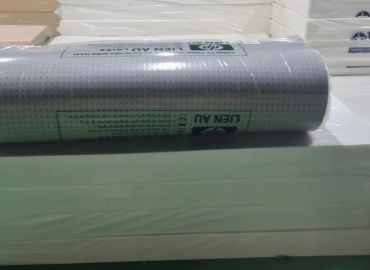 NỆM CAO SU THIÊN NHIÊN HOẠT TÍNH LATEX