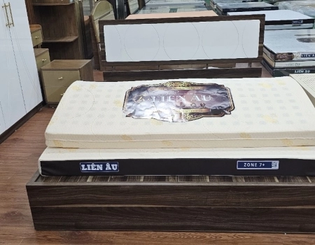 NỆM LIÊN ÂU ZONE 7+ NỆM LIÊN ÂU ZONE 7+