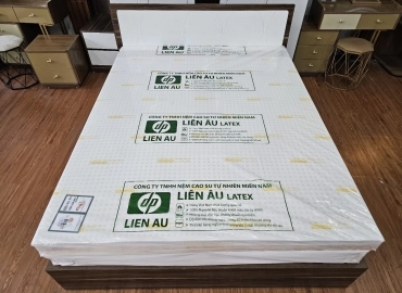 NỆM LIÊN ÂU PLUS LATEX - 2 MẶT TRÒN