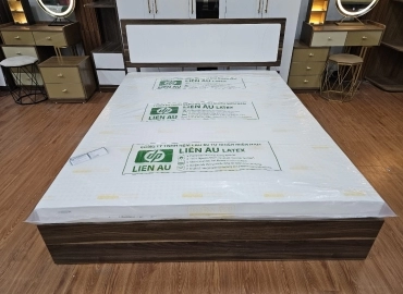 NỆM LIÊN ÂU PLUS LATEX - 1 MẶT VUÔNG, 1 MẶT TRÒN